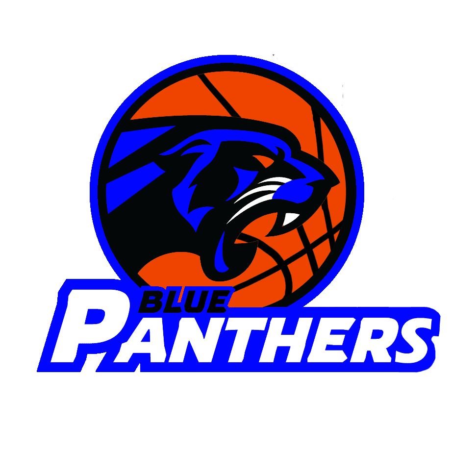 Basketballteam Blue Panthers aus Höchstadt