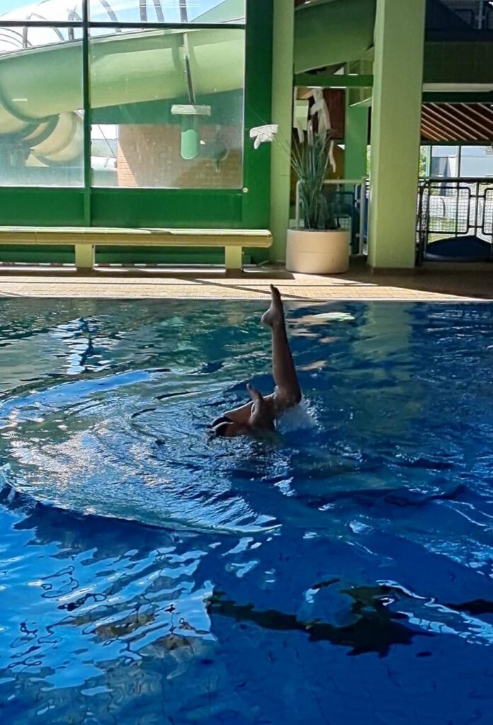 Artistic Swimmer des ESC Höchstadt beim üben der Figuren im Hallenbad